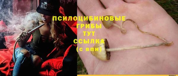 амф Баксан